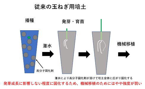 従来の玉ねぎ用培土